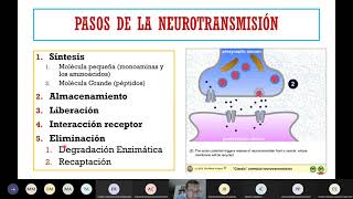 Neurotransmisores y neurotransmisión [upl. by Dniren]