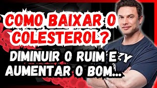 Segredos do Colesterol Como Diminuir o LDL Ruim e Aumentar o HDL Bom de Forma Simples e Eficaz [upl. by Sonitnatsnoc]