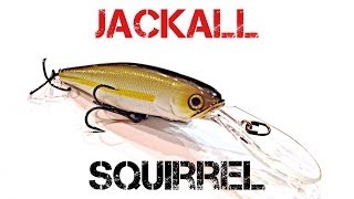 Lure Review Jackall Deep Diver Squirrel  Channel Update [upl. by Ahsiat301]