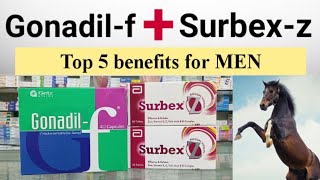 Gonadil F amp Surbex Z Benefits In Urdu  Gonadil F Capsules Plus Surbez Z Tablets Top 5 Benefits [upl. by Nomrah307]