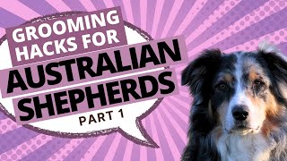 How to Groom an Australian Shepherd StepbyStep Grooming Guide  Part 1 [upl. by Eclud]