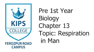 Respiration in Man  1st Year Biology  Chapter No 13 [upl. by Revlis]