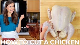 How to Cut Up a Whole Chicken  Easy Tutorial [upl. by Cailean158]