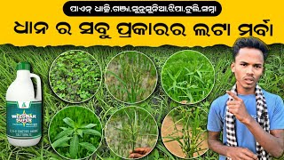 ଧାନ ର ସବୁ ପ୍ରକାର ଘାସ୍ ମରା  ଲଟା ମରା  Best Herbicide For Paddy [upl. by Tonl790]