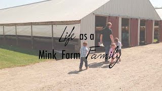 Life as a Mink Farm Family [upl. by Llevram784]