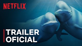 Oceanele noastre  Barack Obama  Trailer oficial  Netflix [upl. by Ortrude]