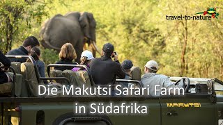 Makutsi Safari Farm Südafrika mit traveltonature [upl. by Yboc]