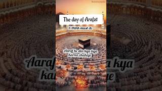 6 things must do on Arafat day arafat dhulhijjah hajj islamicvideo islamicshorts [upl. by Livvi]