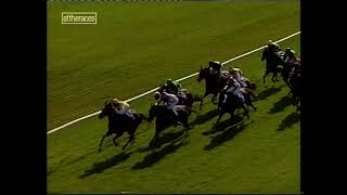 2003 Folkestone Fillies Handicap [upl. by Aeuhsoj540]