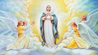 Holy Rosary  Luminous Mysteries  Thursday [upl. by Gale]