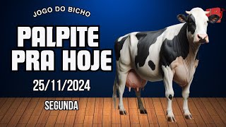 PALPITE FORTE PRA HOJE 25112024  JOGO DO BICHO 🍀 TODAS AS LOTERIAS 🍀 [upl. by Yxor]