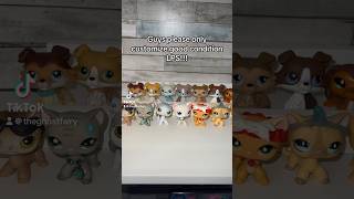 LPS Behind the Camera Meme tiktok littlestpetshop lps toycollector lpscustom toycollection [upl. by Richia]