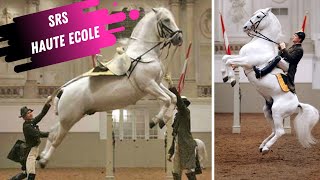 Spanish Riding School Haute Ecole Airs Above The Ground White Lipizzaner Stallions [upl. by Etheline591]