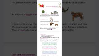 Ch 8 Comparison of Adjectives English Grammar Class 3 [upl. by Zampardi724]