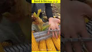 Sweet Coren 😮  Kissan Indian Farmer 🤩 MRINDIANHACKER CrazyXYZ shorts facts viral [upl. by Ardnama]