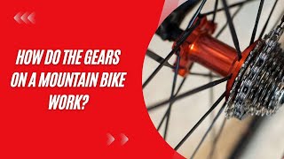 How Do The Gears On A Mountain Bike Work [upl. by Drofnil362]