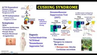 3 Minutes Cushing Syndrome Causes Symptoms Diagnosis Treatment Pathology USMLE NCLEX MCAT [upl. by Seymour]