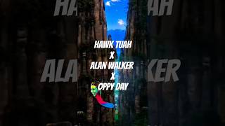 hawktuah x alan walker hawk tuah remix [upl. by Aguayo]