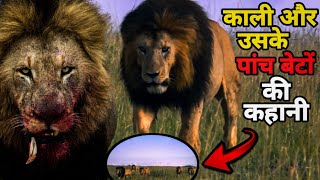 इन्होंने अफ्रीका के आधे से ज्यादा शेरों को मार डाला था। Notch coalition। Facts Phylum [upl. by Tizes482]