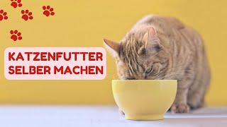 Katzenfutter selber machen  Leckere Rezepte  Katzentipps [upl. by Ynohtnacram]