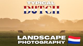 Landscape Photography Around the Dutch Farmlands OM System OM1 [upl. by Zoarah]