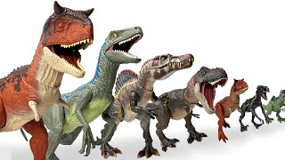 GIANT Haul of the BEST Jurassic World Carnivores  TRex Indominus Rex Velociraptor and More [upl. by Niledam]