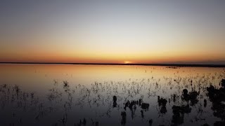 Menindee Lakes Kinchega National Park NSW Australia [upl. by Hance]