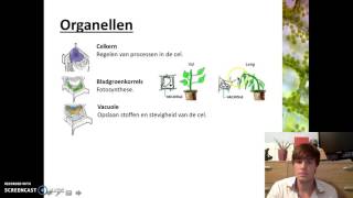 Organen en cellen  Plantaardige cellen [upl. by Alburg]