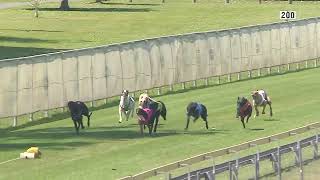 Capalaba22092024Race1 [upl. by Ludeman]