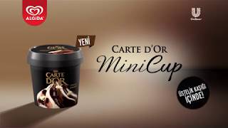 Yeni Carte dOr Mini Cup [upl. by Long]