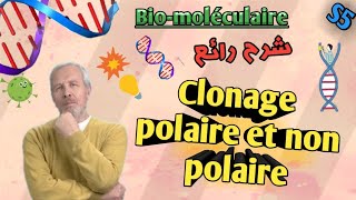 biomoléculaire en Arabe Clonage polarisé et non polarisé en Arae svi s5 [upl. by Yror]