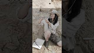 🤯 What is Fossil shorts facts fossil paleontology fossil viral youtubeshorts [upl. by Sancha]