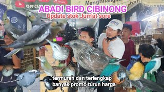 Update Stok Jumat sore 16001800wibABADIBIRDCIBINONG komplit dan termurah [upl. by Fernandina]