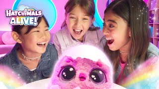 Hatchimals Alive Mystery Hatch  TV Commercial  Who Will You Hatch [upl. by Riley]