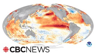 What El Niños return means for weather in Canada [upl. by Hartnett123]