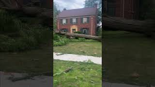 Severe storms in Rocky River uproot tree narrowly missing house [upl. by Tegirb64]