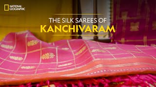 Tissue Kanjivaram Silk Sarees  Prashanti  22 Nov 2023 [upl. by Silvanus]