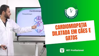 Cardiologia Veterinária Cardiomiopatia Dilatada [upl. by Nnylyaj]