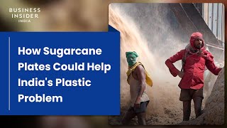 How Plates Made From Sugarcane Could Help Indias Plastic Problem  World Wide Waste [upl. by Nue615]