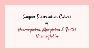 Oxygen Dissociation Curves of Haemoglobin Myoglobin amp Foetal Haemoglobin Gaseous Exchange [upl. by Austina]