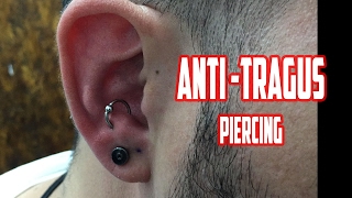 Anti tragus  Piercing orelha [upl. by Ennad]