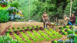 Build a Bushcraft Garden by the Stream and Harvest ginger taro papaya and cook  Ana Bushcraft [upl. by Aelaza557]