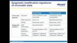 Chromatin Immunoprecipitation ChIP step by step [upl. by Fishman]