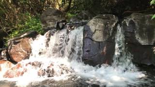 4K CASCADA EN LAS AGUAS TERMALES DE NUEVO URECHO MICHOACAN 2017 [upl. by Dannon]