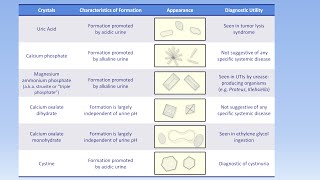 Interpretation of the Urinalysis Part 3  Microscopy and Summary [upl. by Obaza]