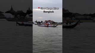 Chao Phraya River in Bangkok chaophraya chaophrayariver bangkok thailand shorts thailandtravel [upl. by Milicent]