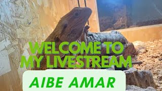 Aibe Amar is live [upl. by Mannes822]