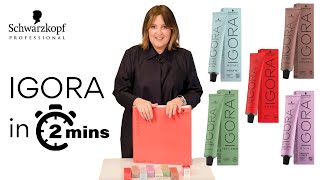 Learn the Schwarzkopf Professional IGORA product range in under 2 minutes [upl. by Kcirdnekal]