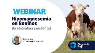 Hipomagnesemia en Bovinos la asignatura pendiente  Dr Mattioli  Webinar  Biogénesis Bagó [upl. by Ahsiyk]