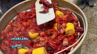 Pearland Crawfish Festival Commercial [upl. by Nilat484]